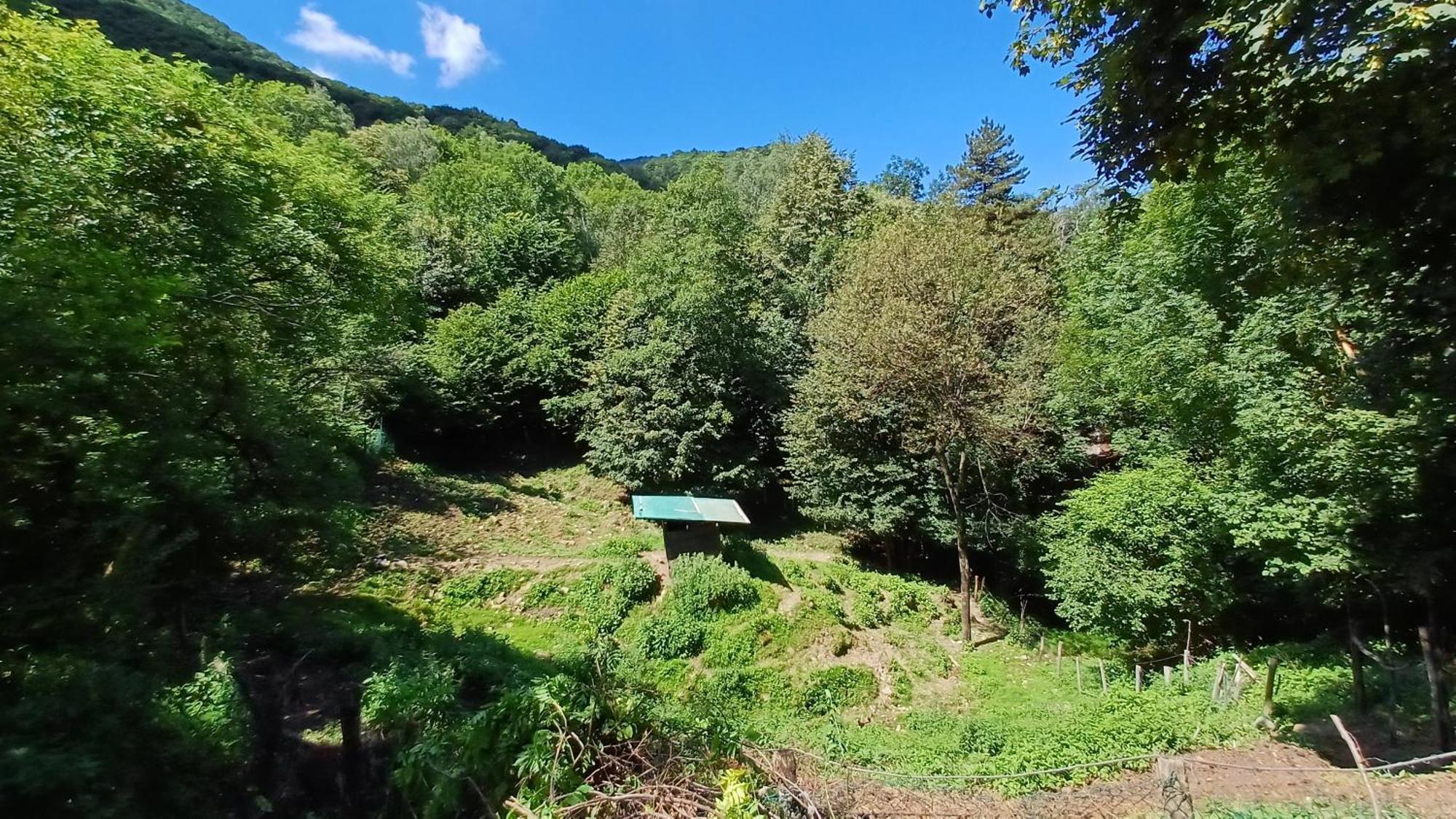 La Stanza Del Bosco Lejlighed Arcumeggia Eksteriør billede