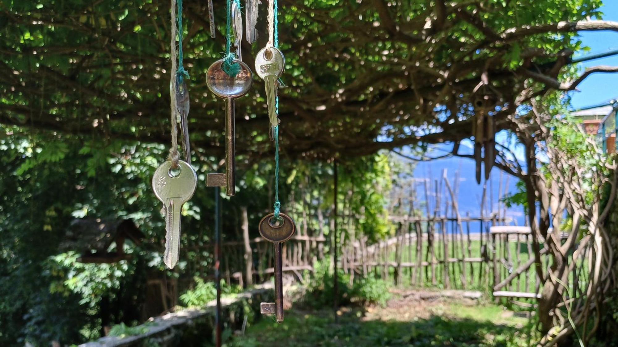 La Stanza Del Bosco Lejlighed Arcumeggia Eksteriør billede